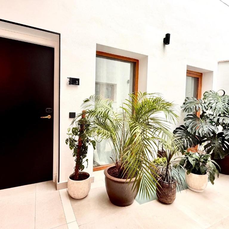 Aparthotel Luz de Gades - Suites Spa Gym - Adults Only - Apartamento - Planta baja - 12