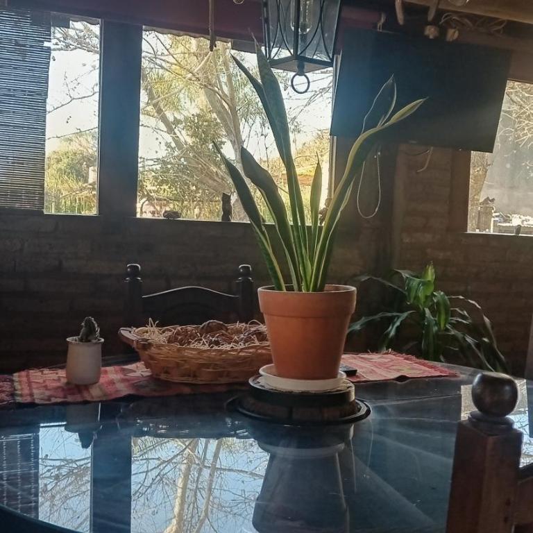 La Agraria - Apartamento de 1 dormitorio - 3