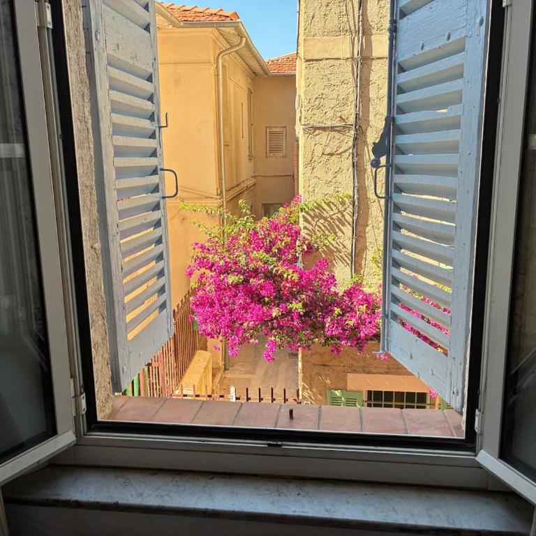 Cosy and authentic apartment in old Antibes - Appartement 1 Chambre - 30