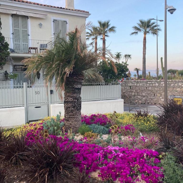 Cosy and authentic apartment in old Antibes - Appartement 1 Chambre - 51