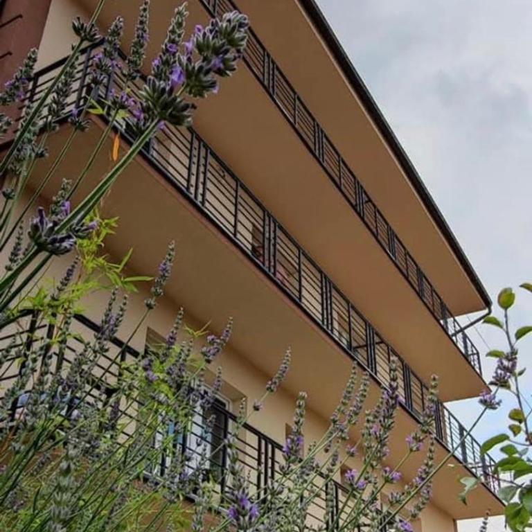 Sokobanja na dlanu 2 - One-Bedroom Apartment - 11