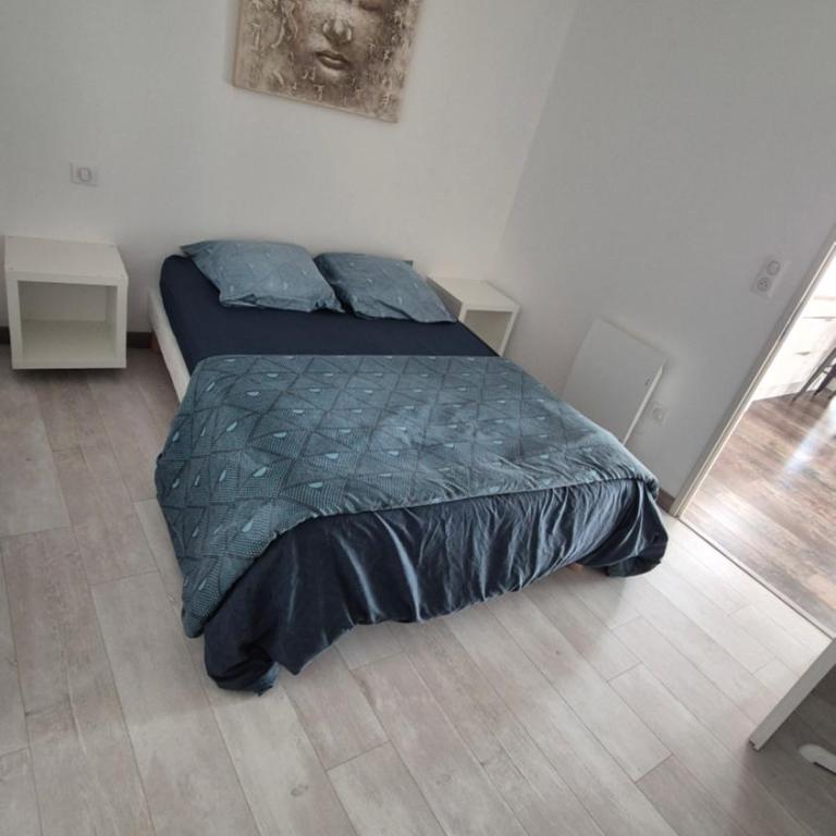 ALBI Logement spacieux - Appartement 1 Chambre - 6