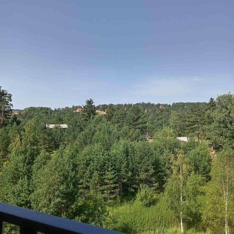 Apartman Lule i Voja - Apartment mit 1 Schlafzimmer - 10