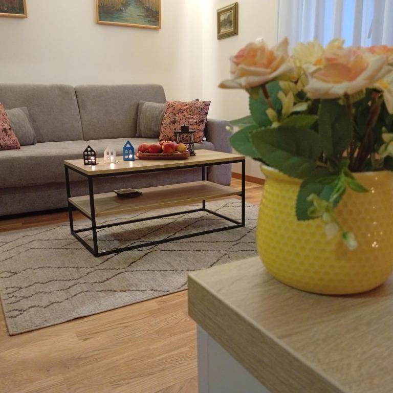 Apartman Lule i Voja - Apartment mit 1 Schlafzimmer - 13
