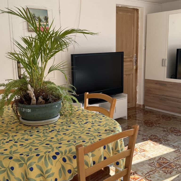 Vilabahia, escapade paisible à deux pas de la mer - Appartement 1 Chambre - 4