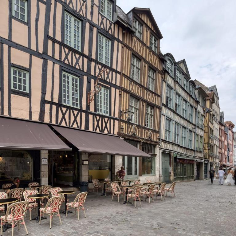 Bienvenue à LOlive votre écrin vert nature au cœur de Rouen - Appartamento - 27