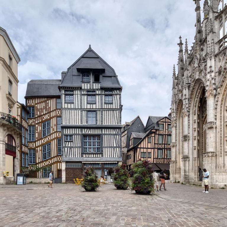 Bienvenue à LOlive votre écrin vert nature au cœur de Rouen - Appartamento - 31