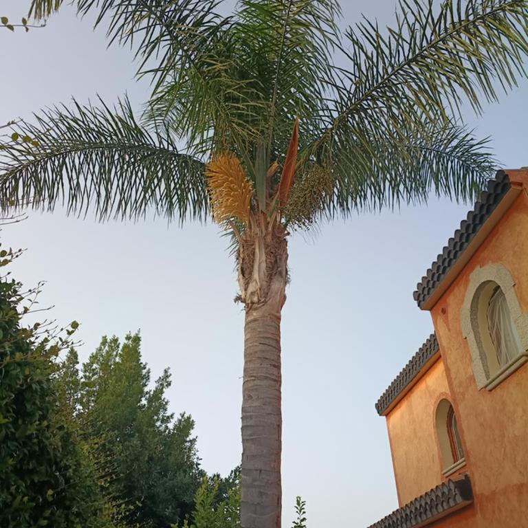 A Lu Ponti - Appartamento con 2 Camere da Letto e Vista Giardino - 12