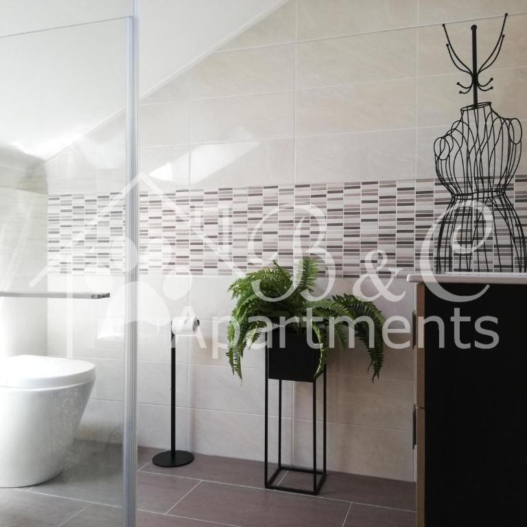 B&C Apartments - Monolocale Deluxe - 5