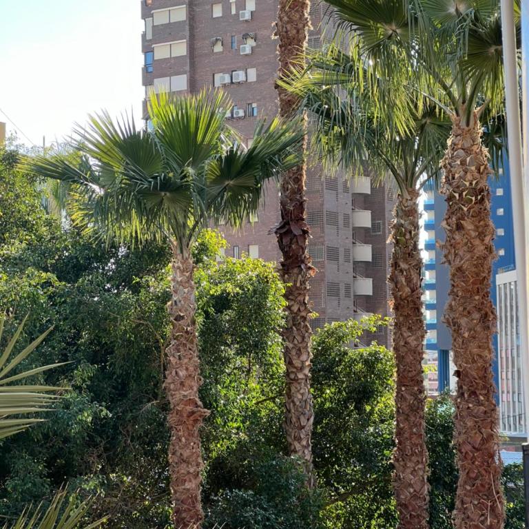 BENILOVE2 -appartement traversant et lumineux à LEVANTE Parking gratuit - One-Bedroom Apartment with Terrace - 31