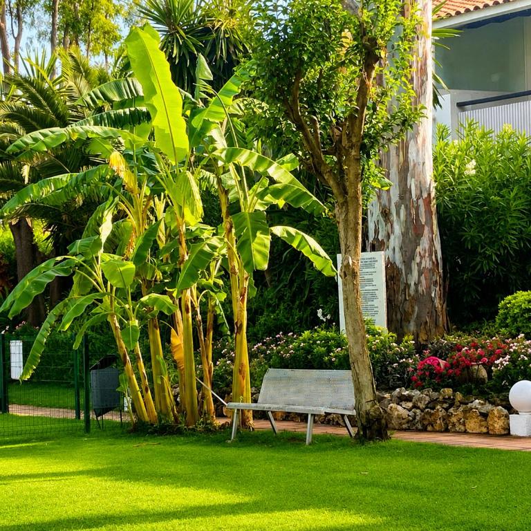 Cozy Studio Near Puerto Banús - Apartment mit 1 Schlafzimmer - 23