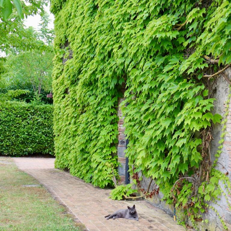 Res Antiqva Relais de Charme and Private Pool - Villa - 47