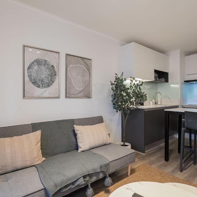 Charming 1BR Providencia Retreat with Pool Access - Apartment - 6