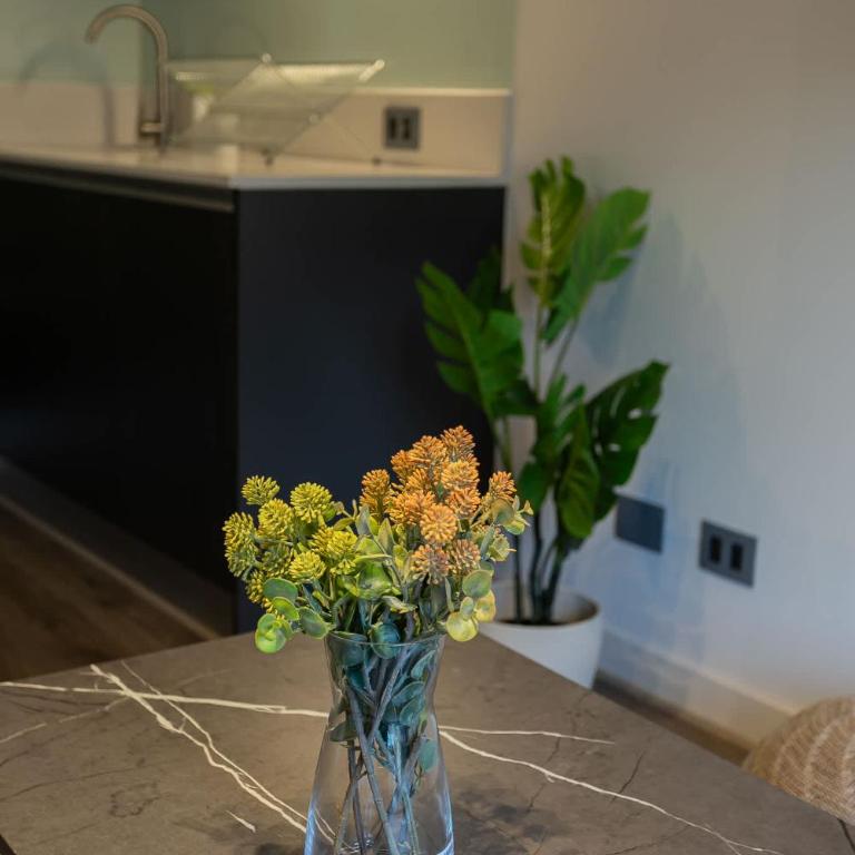 Modern 1BR Flat in Prime Location Ricardo Lyon - Apartment - 31