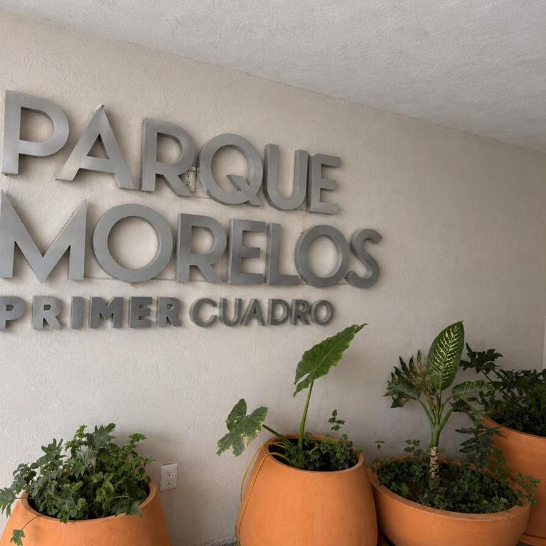 Amazing apartment minutes from the center - Appartement 2 Chambres - 44