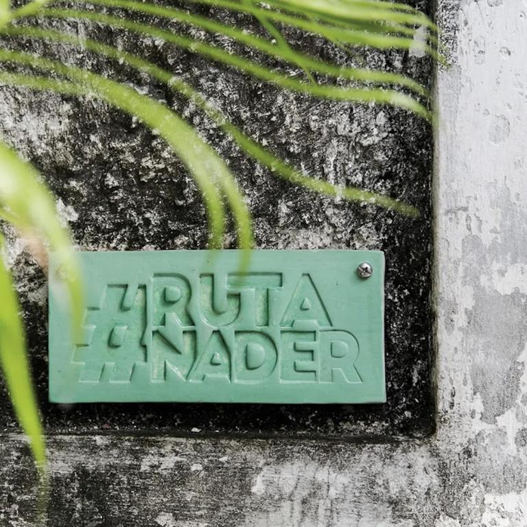 Jungle Apartment - Apartamento - Planta baja - 11