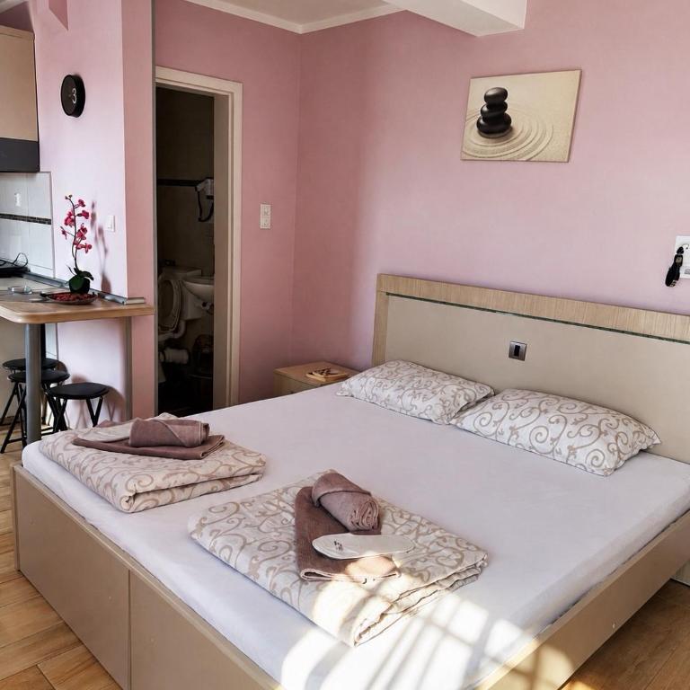Apartmani Erdeljanov - One-Bedroom Apartment - 2