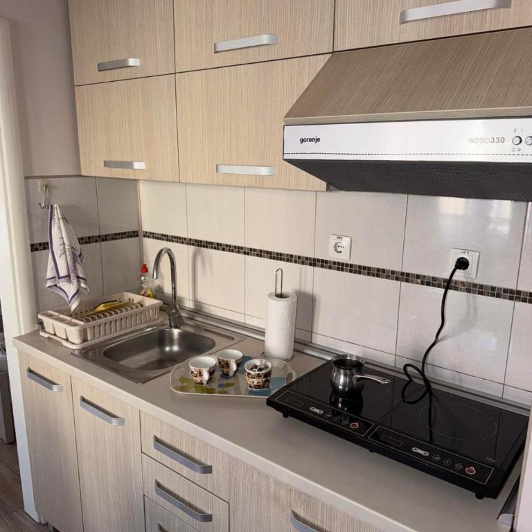 Apartmani Erdeljanov - One-Bedroom Apartment - 6