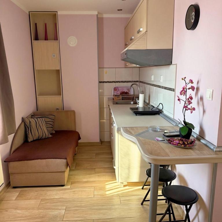 Apartmani Erdeljanov - One-Bedroom Apartment - 4