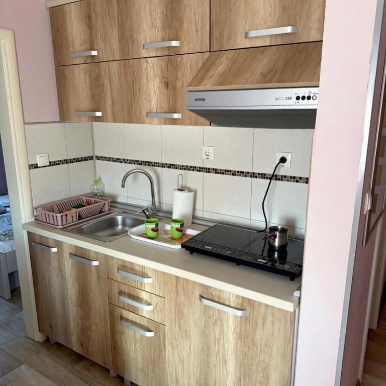 Apartmani Erdeljanov - One-Bedroom Apartment - 8