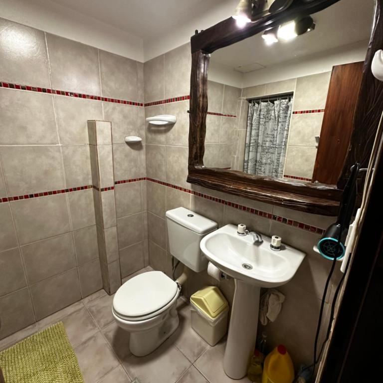 Loft Vista al Lago Vientos Patagónicos - Apartamento de 1 dormitorio - 6