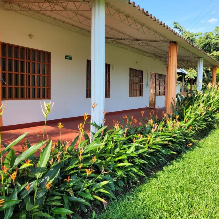 Finca Las Marias A&M - Villa - 3