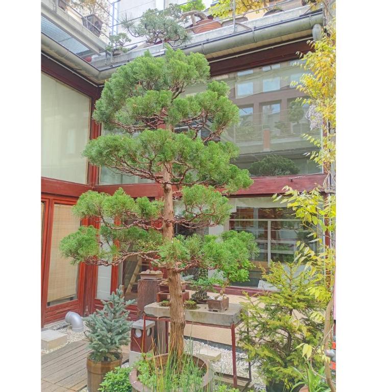 Welcome to Japanese garden in Paris ! - Apartment mit 3 Schlafzimmern - 14