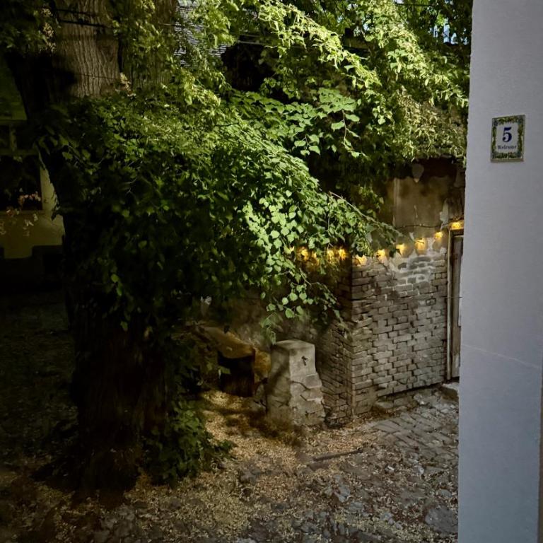 Belgrade Parlament Oasis - One-Bedroom Apartment - 26