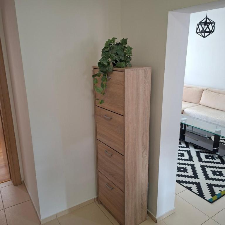 Luxury Apartment Santic - Apartman sa 2 Spavaće Sobe - 10