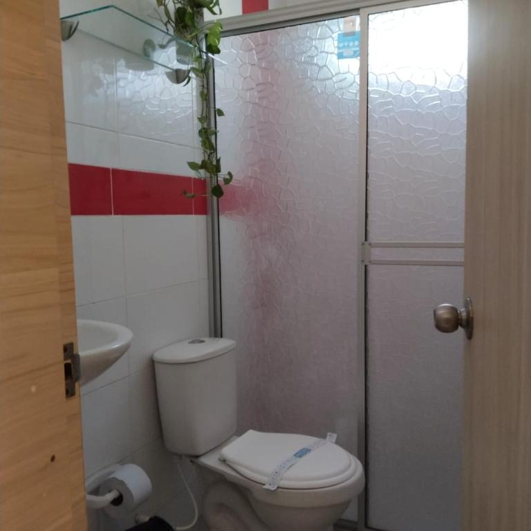 Oasis Olmos - Apartment - 11