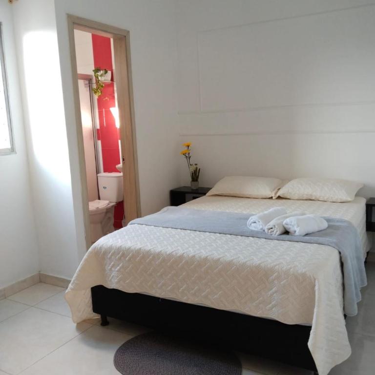 Oasis Olmos - Apartment - 12