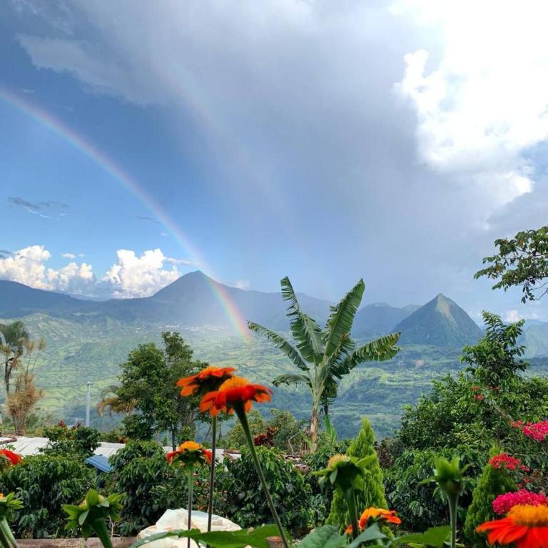 Cabaa el Sol Medellin - Casa - 41