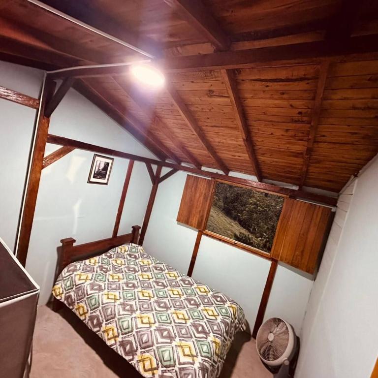 Cabaa el Sol Medellin - Casa - 50