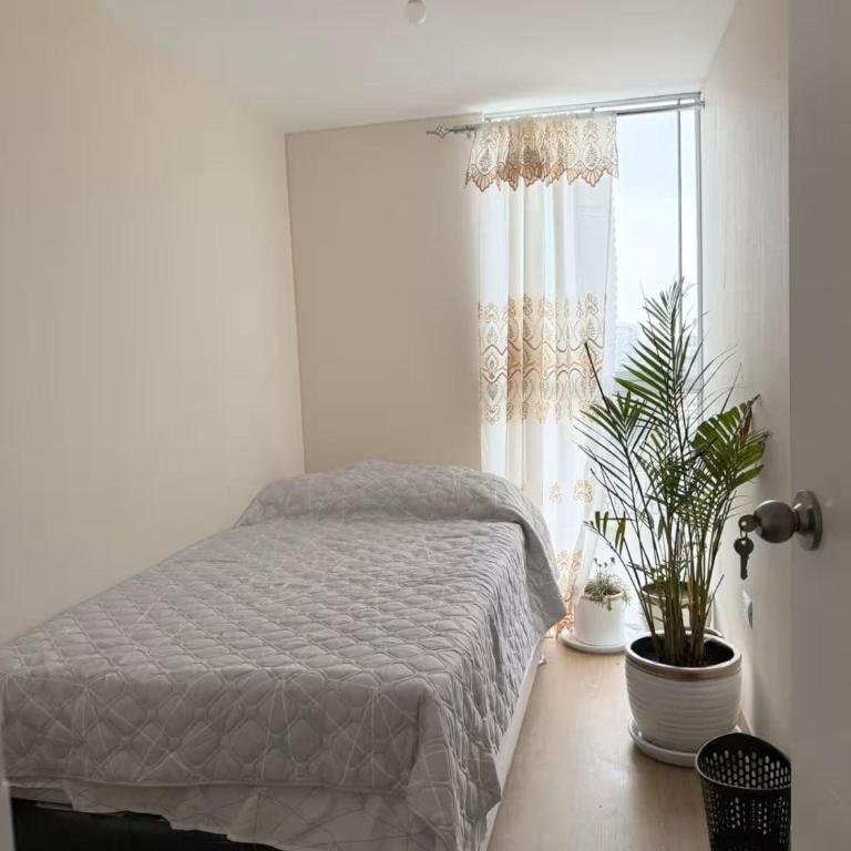 Departamento Faisanes - Three-Bedroom Apartment - 19