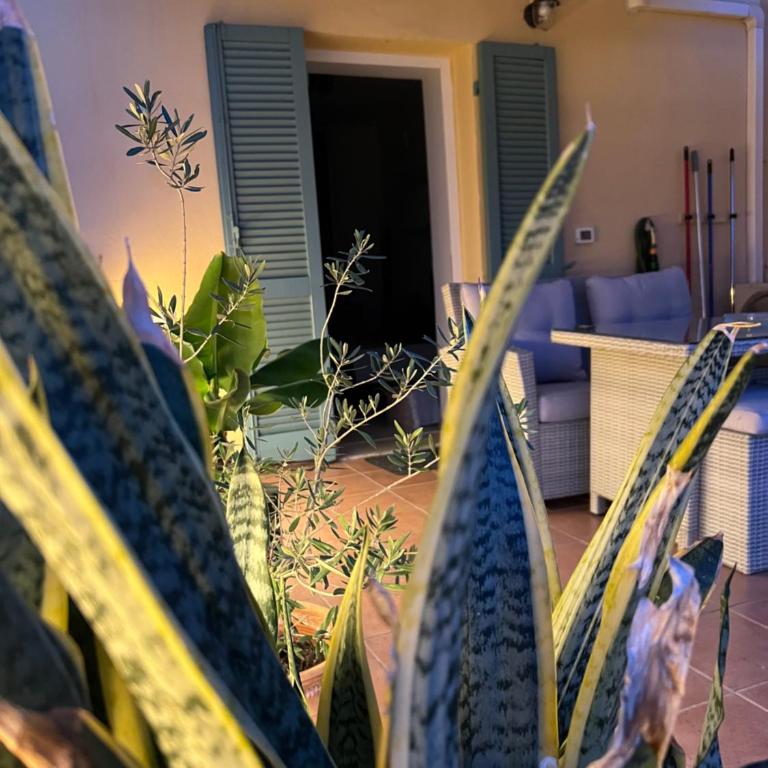 Entre Ciel et Mer - Apartamento de 1 dormitorio - 3