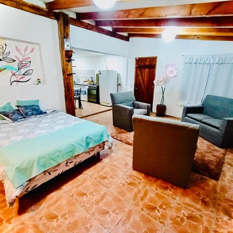 Alojamiento Turístico Colihues - One-Bedroom Apartment - 4