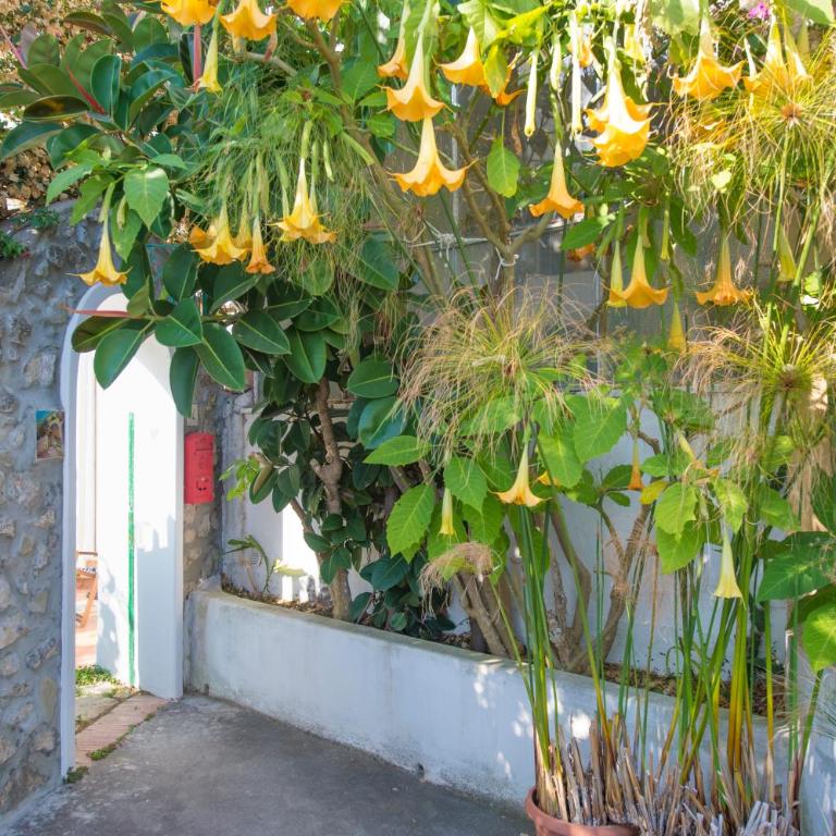 Casa Del Fico Positano dimora storica - Villa Superior - 62