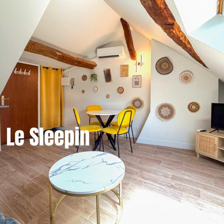 Le sleepin - T2 sous les toits d'Orléans - Appartement - 1
