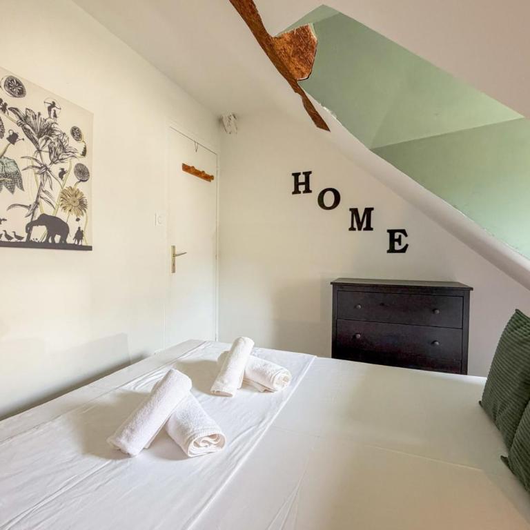 Le sleepin - T2 sous les toits d'Orléans - Appartement - 4