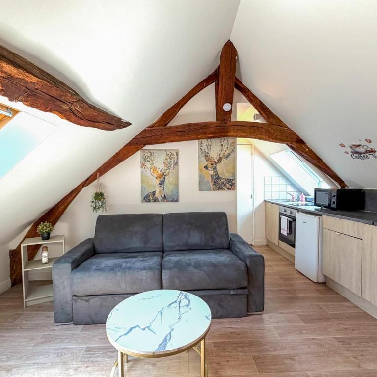 Le sleepin - T2 sous les toits d'Orléans - Appartement - 7