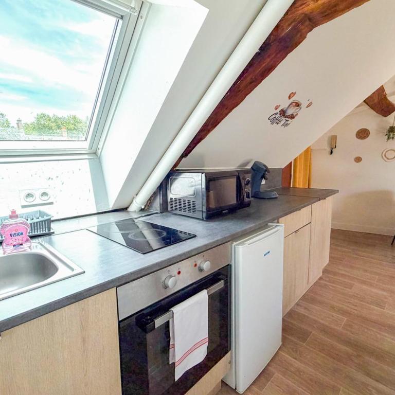 Le sleepin - T2 sous les toits d'Orléans - Appartement - 11
