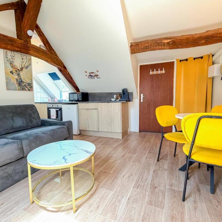Le sleepin - T2 sous les toits d'Orléans - Appartement - 12