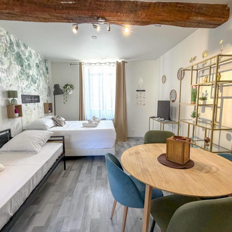 Le Rêveur grand studio pour 3 personnes - hypercentre - Appartement - 2