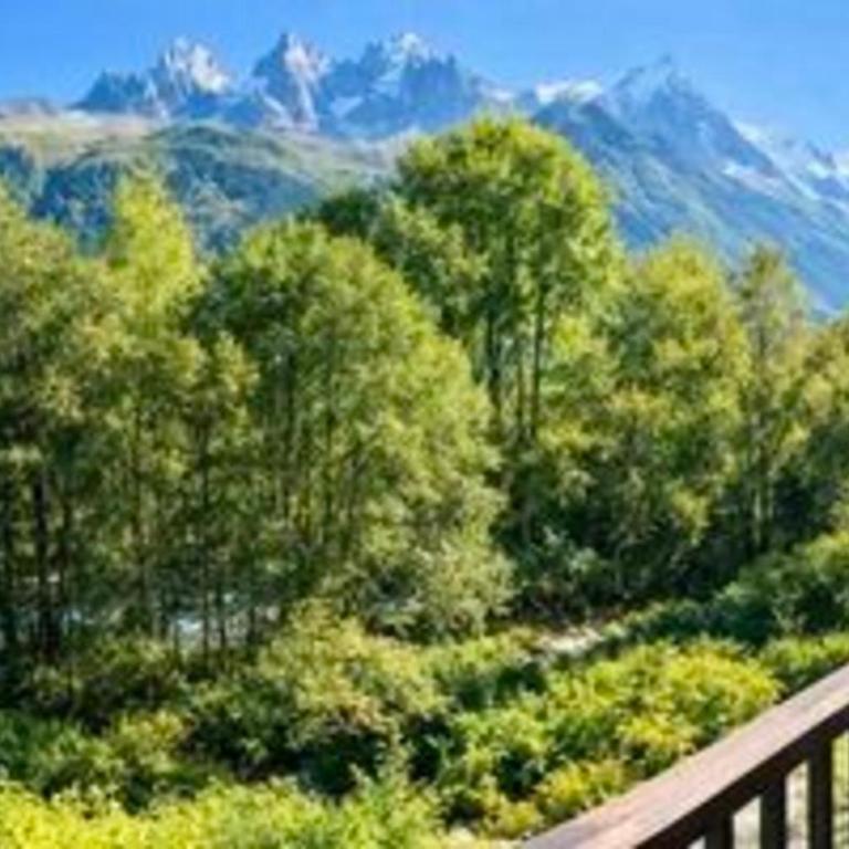 Bright apartment - near Mont Blanc - Apartment - 16