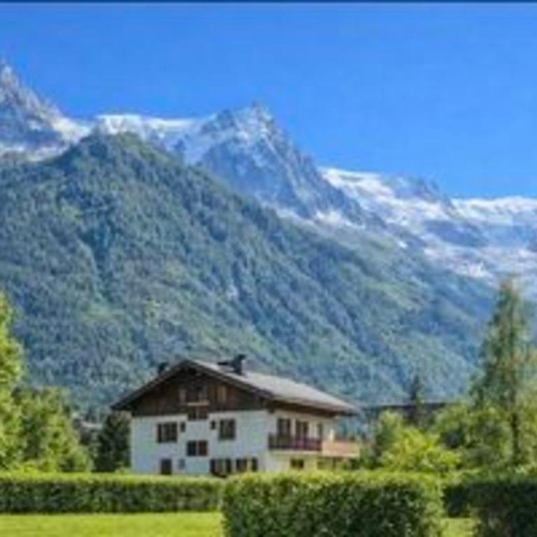 Bright apartment - near Mont Blanc - Apartment - 1