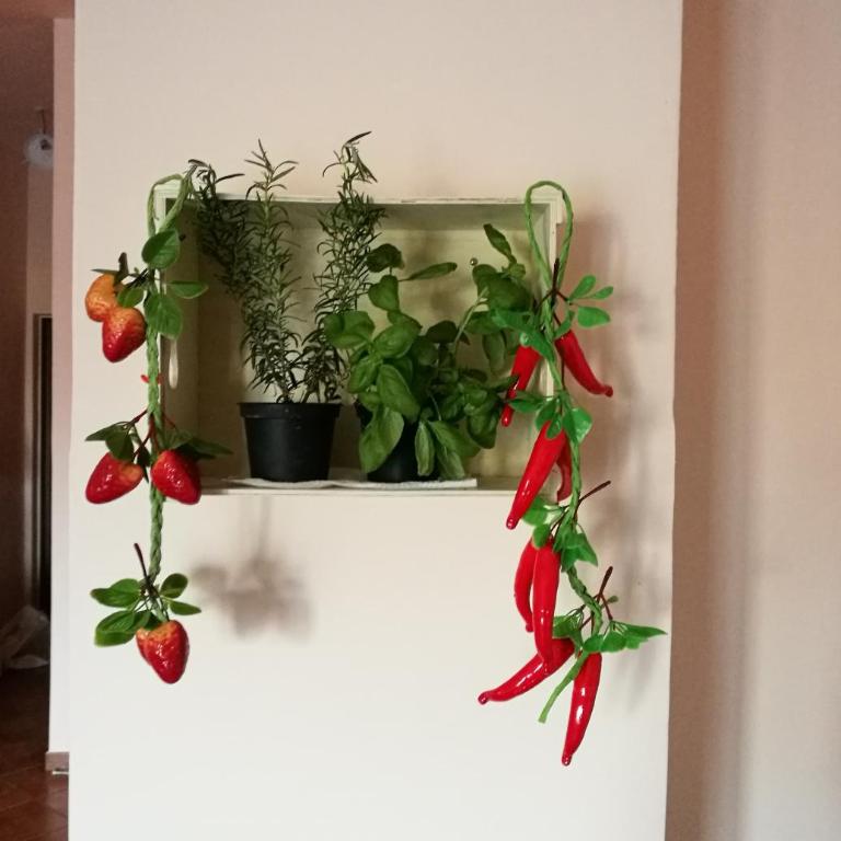 A Casa di Ida - Appartamento con 2 Camere da Letto - 45