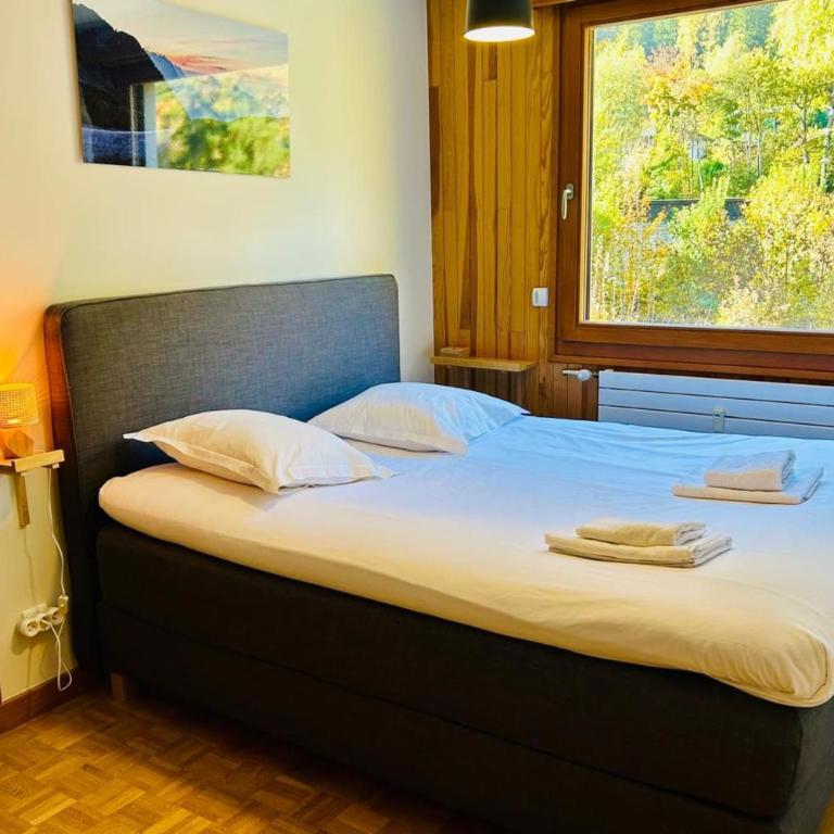 Comfort nature and exceptional Mont Blanc view - Apartment - 5