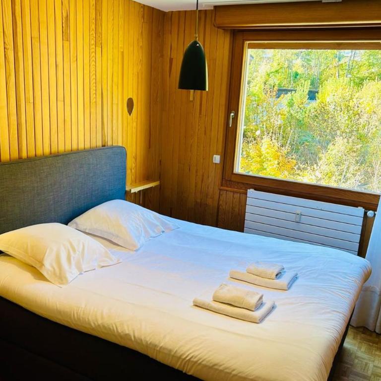 Comfort nature and exceptional Mont Blanc view - Apartment - 13