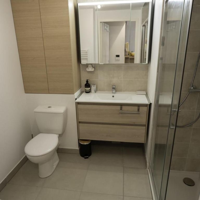 Riboleys - Grand T2 climatisé à 100m de la mer - Appartement - 10