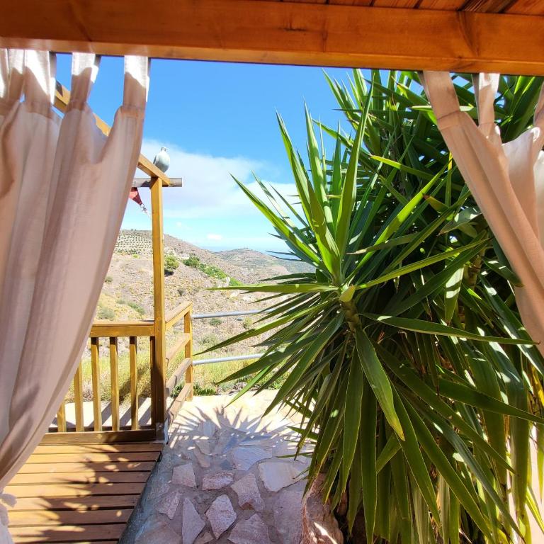 Casa Concha Mariposaholidays - Casa con 1 dormitorio - 14